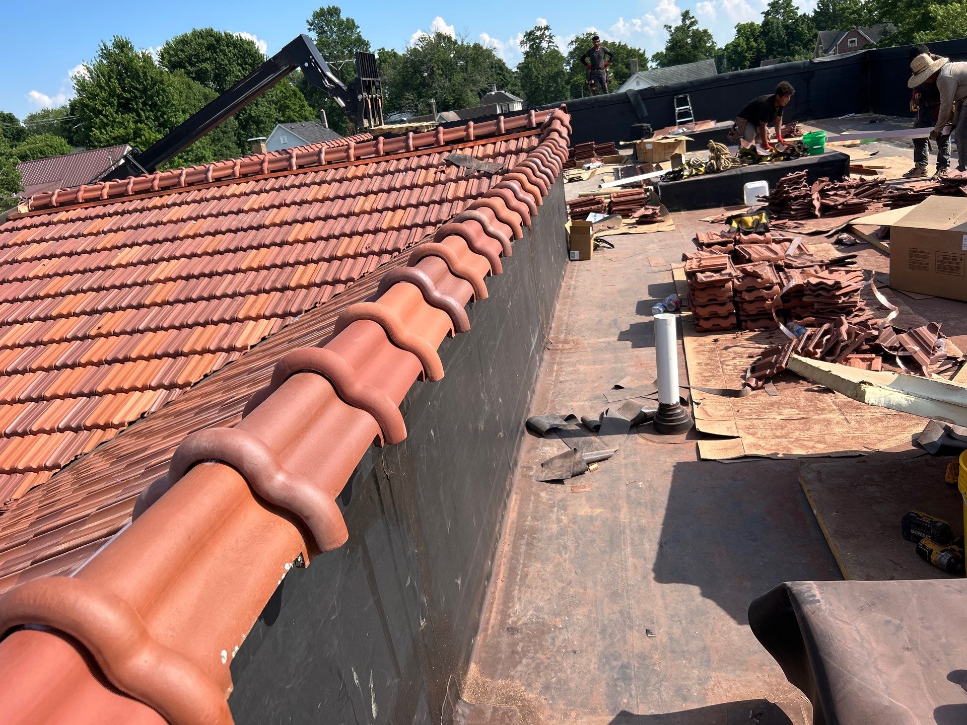 Wide shot of the library showing new terra cotta tile installation